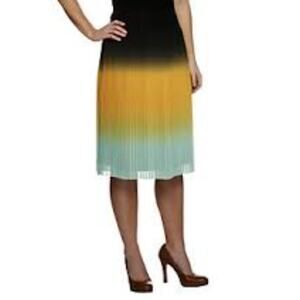 G.I.L.I. Ombre Midi Pleated Skirt Skyline Artsy Contemporary Petite Size 10P